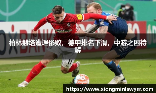 BB贝博登录入口