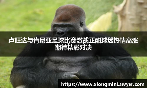 卢旺达与肯尼亚足球比赛激战正酣球迷热情高涨期待精彩对决