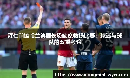 BB贝博登录入口