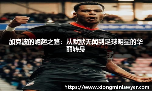 BB贝博登录入口