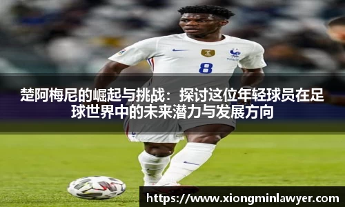 BB贝博登录入口