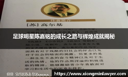 BB贝博登录入口