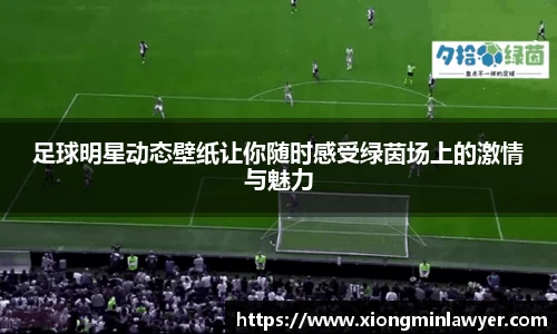 BB贝博登录入口