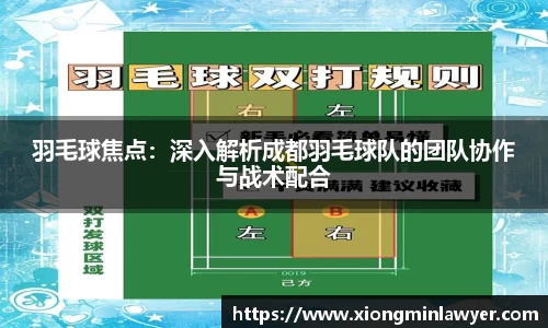羽毛球焦点：深入解析成都羽毛球队的团队协作与战术配合